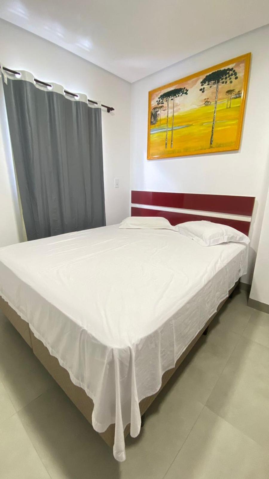 Hotel Zagonel Chapecó エクステリア 写真