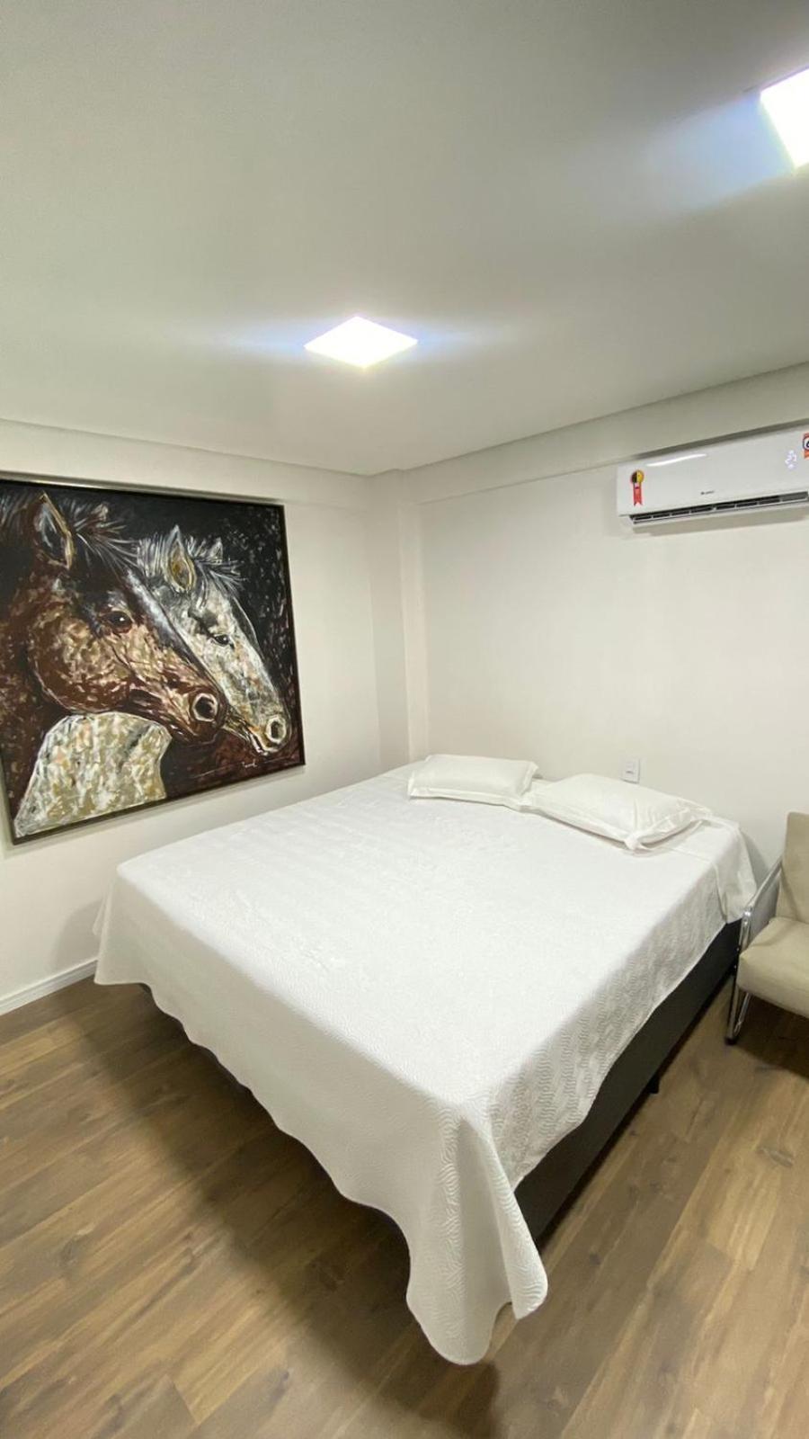 Hotel Zagonel Chapecó エクステリア 写真